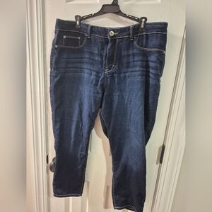 Jordache Dark Blue Skinny Jeans
